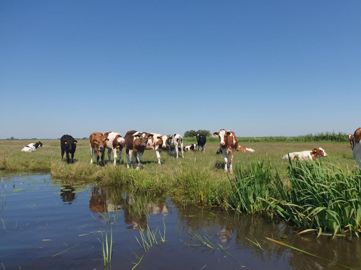 Vakantiehuisje 'T Wiede Blokzijl Kültér fotó