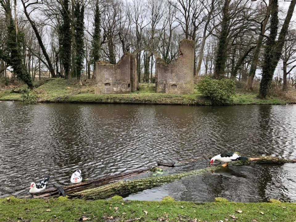 Vakantiehuisje 'T Wiede Blokzijl Kültér fotó